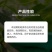 沪联赛安70%啶虫脒黄瓜蚜虫水分散粒剂农用专用触杀杀