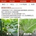 沪联赛安70%啶虫脒黄瓜蚜虫水分散粒剂农用专用触杀杀