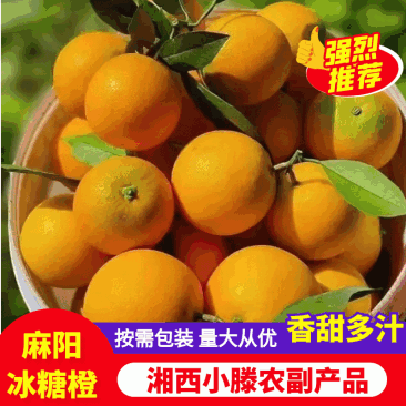 【现货速发】麻阳冰糖橙爆甜多汁规格多样量大从优电联