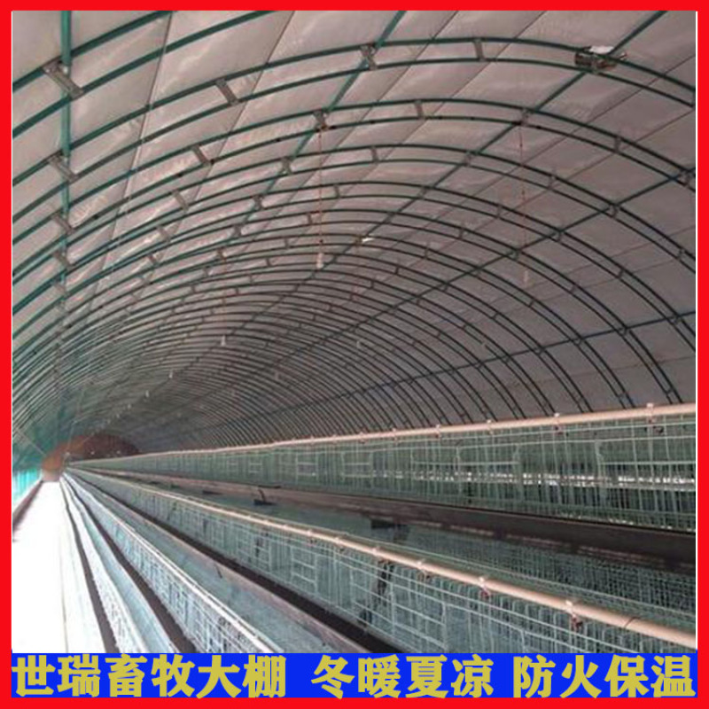 全封闭养鸡大棚搭建蛋鸡大棚安装鸡舍大棚建设
