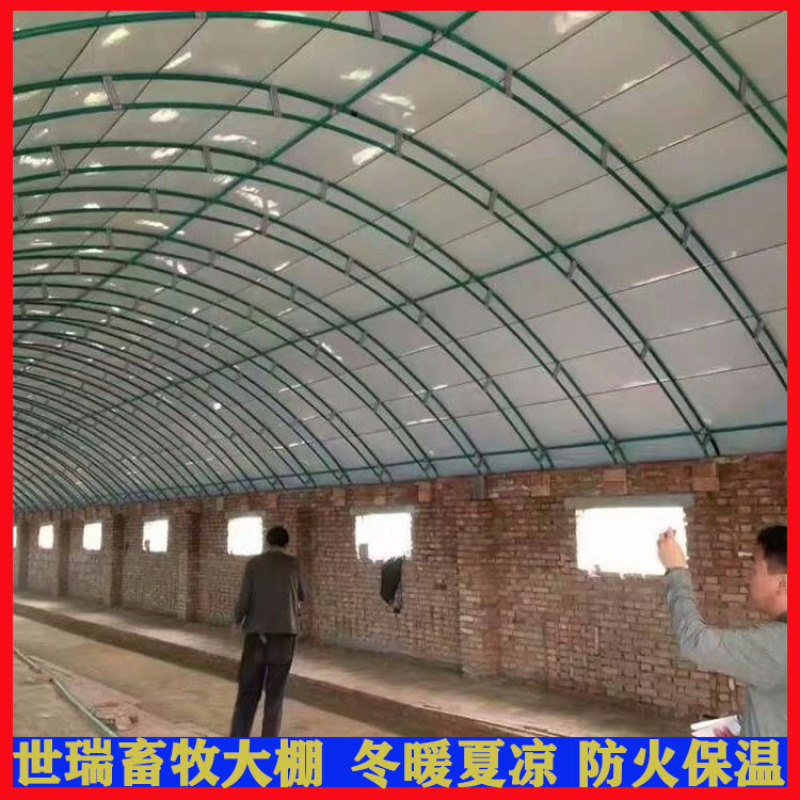 全封闭养鸡大棚搭建蛋鸡大棚安装鸡舍大棚建设