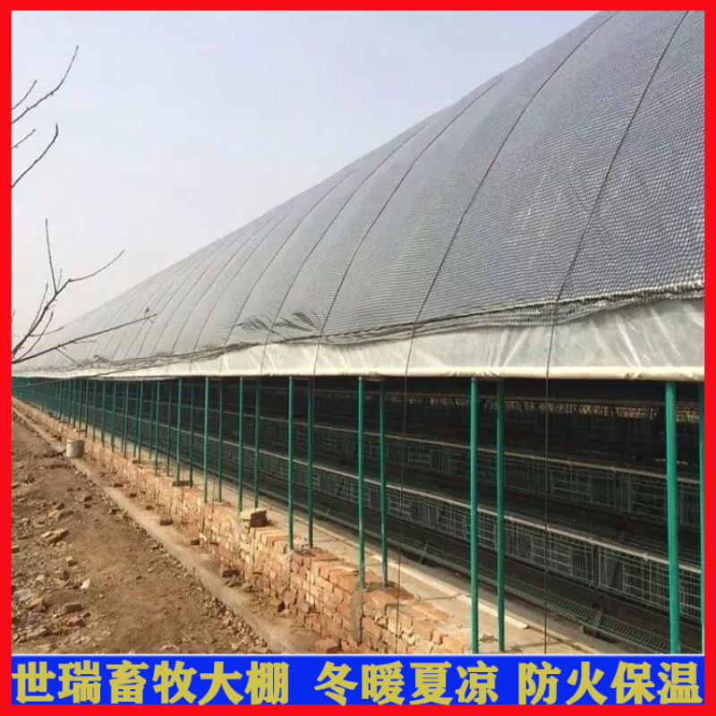 养鸭大棚材料生产鸭棚建设肉鸭养殖棚施工厂家