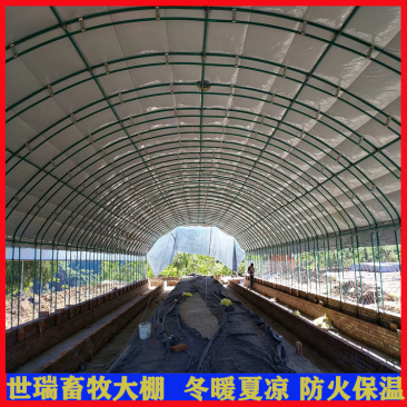 养鸭大棚材料生产鸭棚建设肉鸭养殖棚施工厂家
