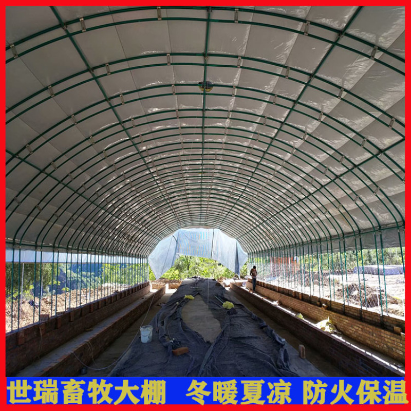养鸭大棚材料生产鸭棚建设肉鸭养殖棚施工厂家