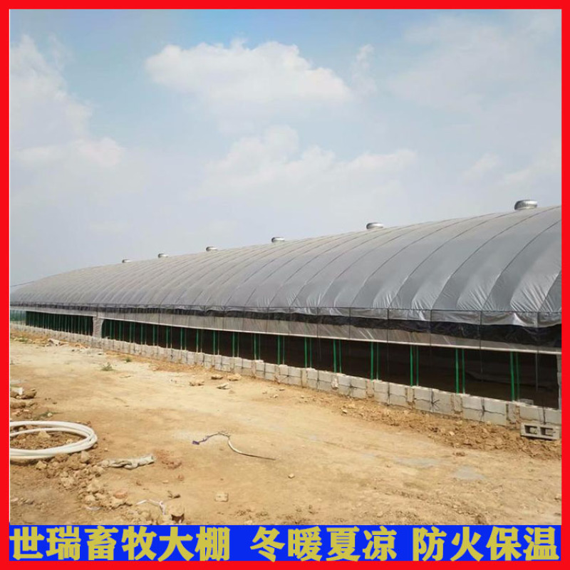 建设养鹅大棚肉鹅养殖大棚搭建鹅舍大棚施工厂家