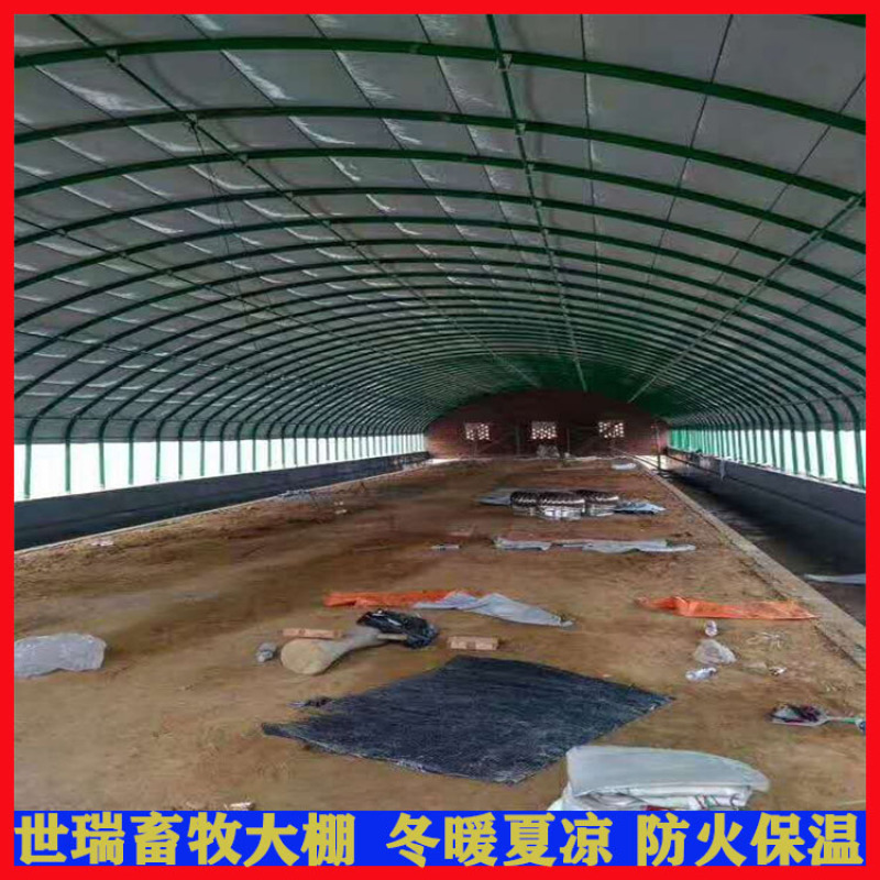 养猪大棚施工猪舍大棚材料安装育肥猪养殖大棚厂家