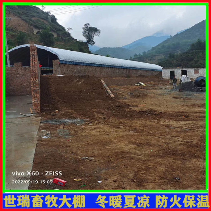 养牛大棚施工牛舍大棚建设肉牛养殖大棚建造厂家