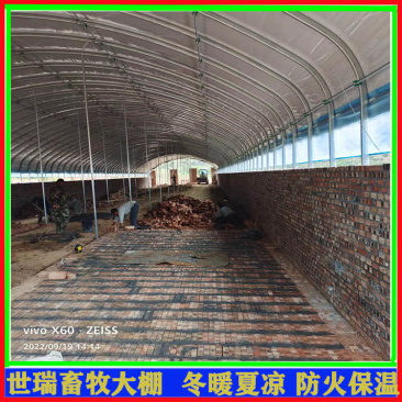 养牛大棚施工牛舍大棚建设肉牛养殖大棚建造厂家