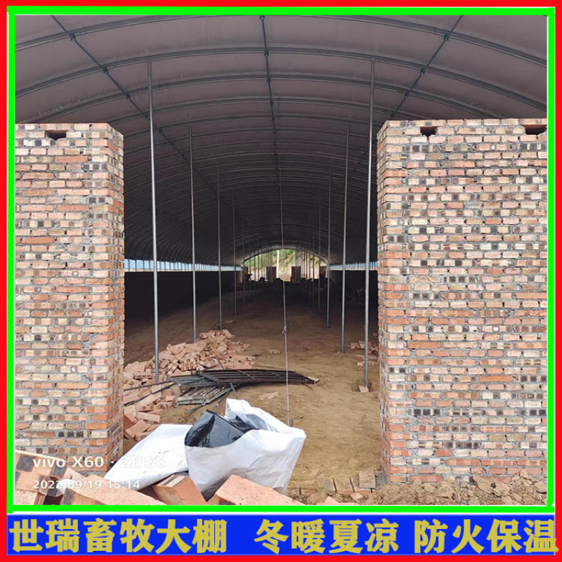 养牛大棚施工牛舍大棚建设肉牛养殖大棚建造厂家