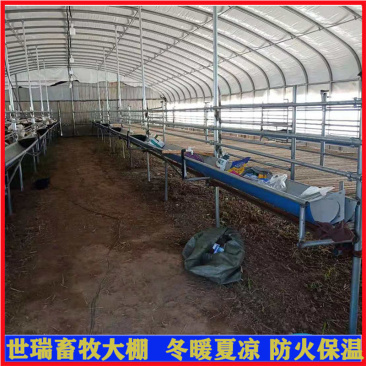 羊舍大棚建设山羊养殖大棚搭建肉羊养殖大棚安装厂家