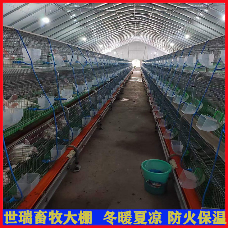 兔棚建设肉兔保温大棚搭建养兔大棚施工设计