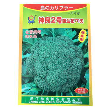 神良2号西兰花种子70天颜色正中晚熟耐寒花蕾细腻