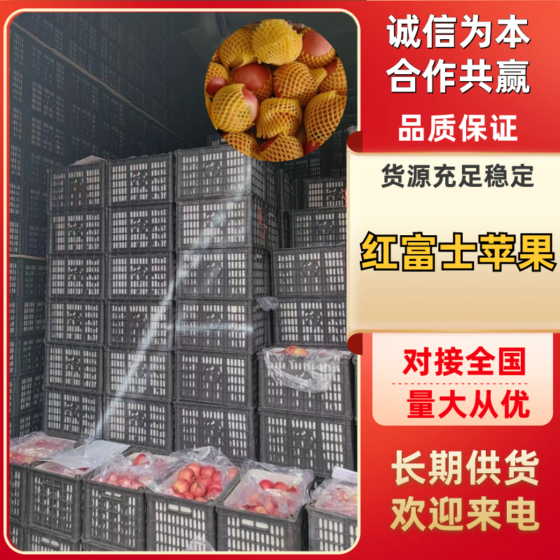 红富士苹果大量供应品质保证专业代办代发诚信经营