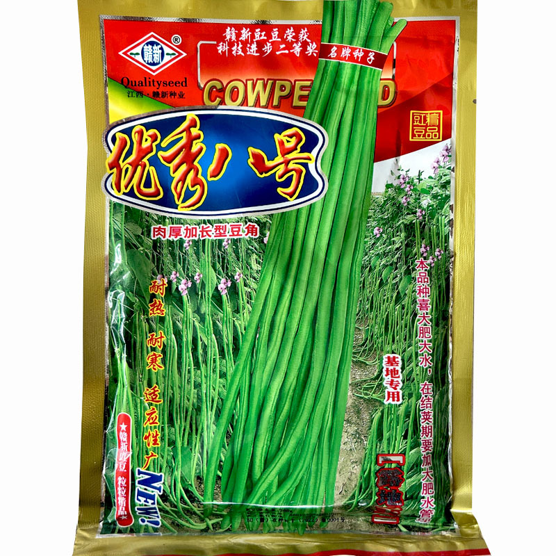 八号豇豆种子长豆角中早熟结荚多采收期长无鼠尾肉厚