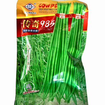 传奇985长豆角种子翠绿豇豆种子肉厚顺直油亮耐老化
