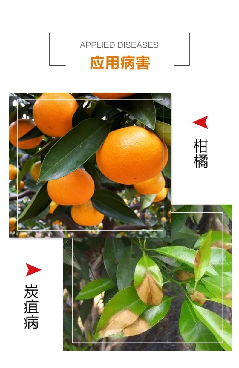 45%高含量咪鲜胺柑橘农用炭疽病杀菌剂1千克装保鲜剂