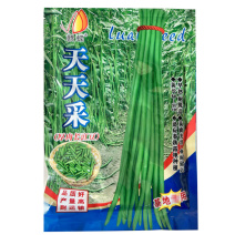 赣蝶天天菜豇豆种子早熟耐低温荚长80cm春秋露地栽培