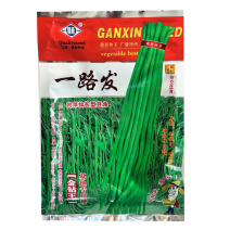 一路发豇豆种子长豆角早熟耐低温高温双荚多翠绿色