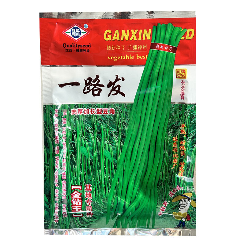 一路发豇豆种子长豆角早熟耐低温高温双荚多翠绿色