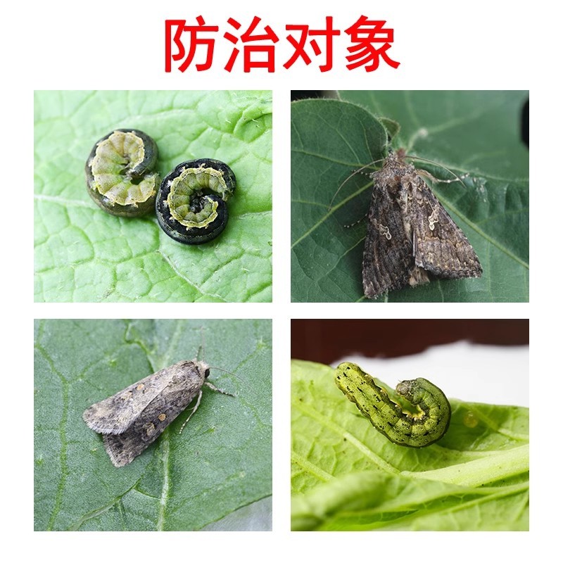 正品沪联攻杀5%虱螨脲甘蓝甜菜夜蛾菜青虫小菜蛾整箱批发可
