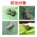 5%虱螨脲正品沪联攻杀甜菜农用夜蛾菜青虫小菜蛾杀虫剂大