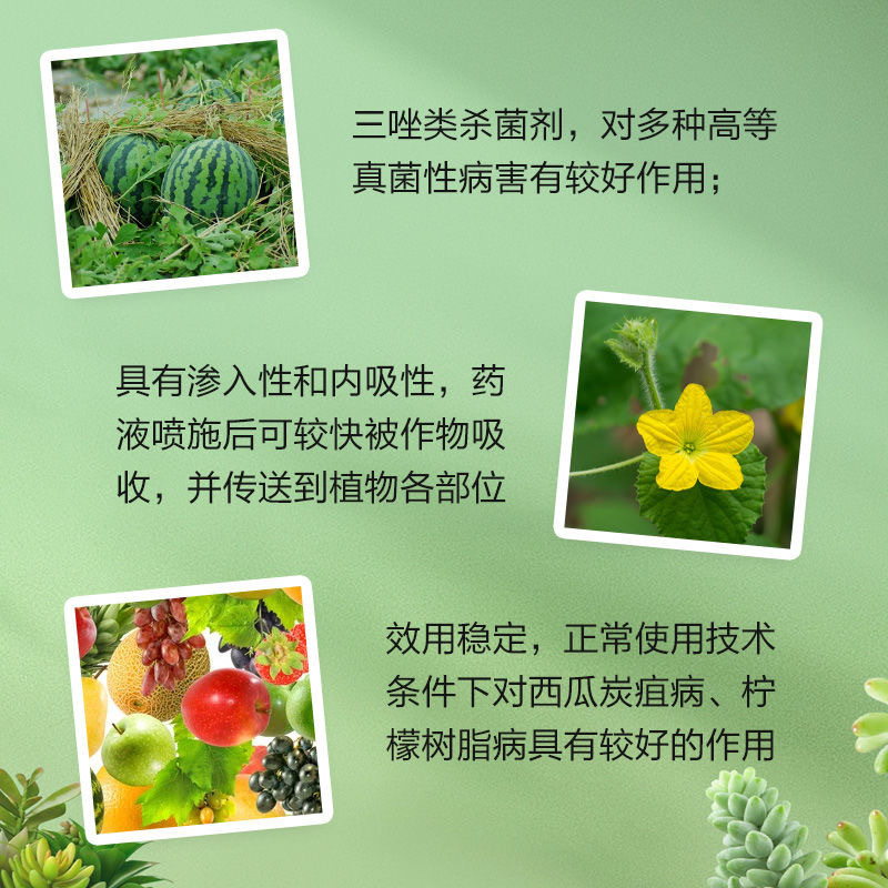 农用世达高浓度苯醚甲环唑西瓜炭疽病柠檬树树脂病农药杀菌