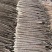 铁棍山药产地直发一手货源量大价优对接全国客商欢迎致电咨询