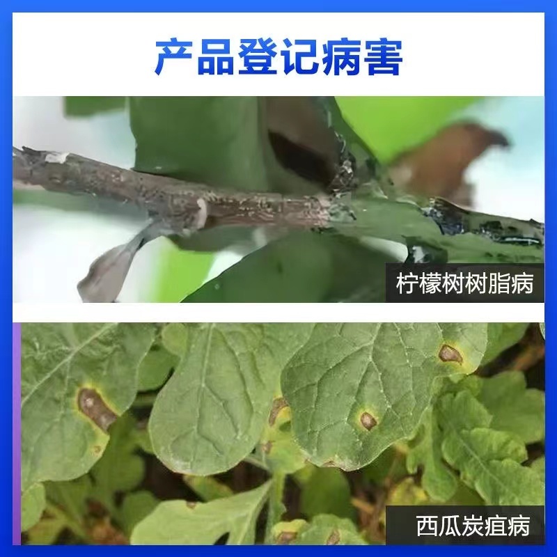 正品沪联世达40%苯醚甲环唑农用柠檬树脂病西瓜炭疽病农