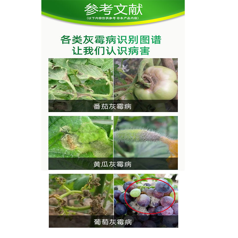 农用灰飞高浓度嘧霉胺密霉胺农药黄瓜灰霉病杀菌剂正品批发