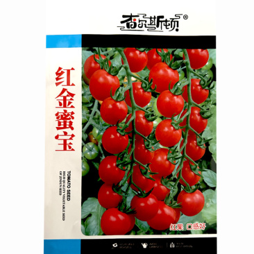 樱桃番茄种子红金蜜宝座果率高果肉厚不易裂果