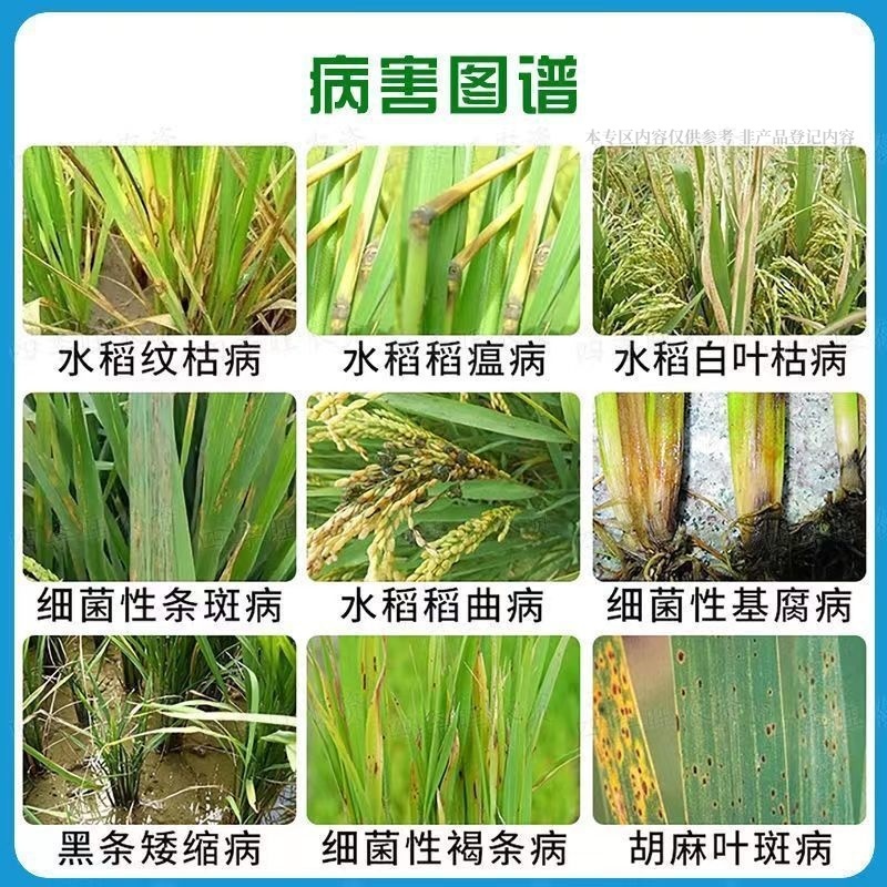 沪联稻可道30%已唑·嘧菌酯水稻纹枯病稻瘟病稻曲病杀菌剂
