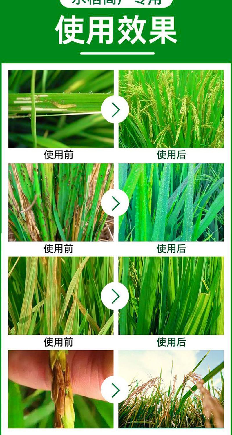 沪联稻可道30%已唑·嘧菌酯水稻纹枯病稻瘟病稻曲病杀菌剂