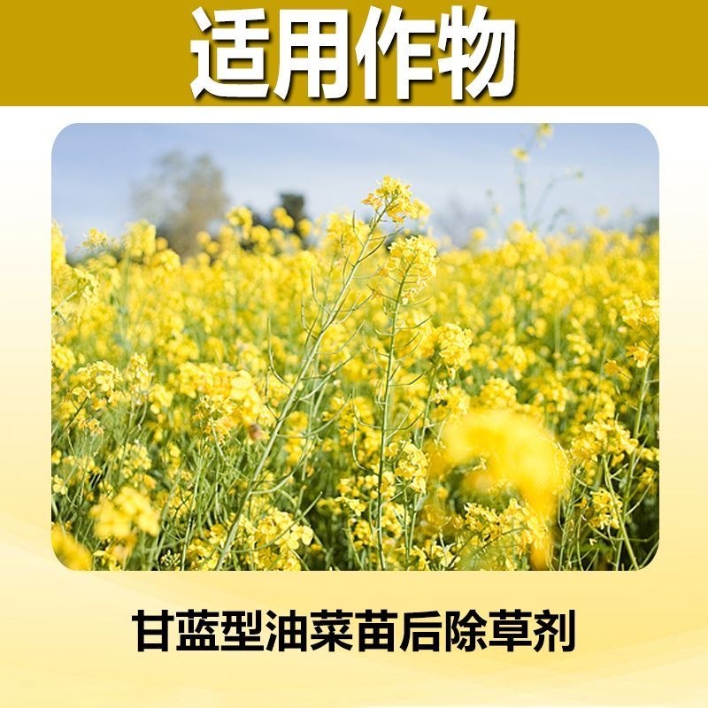 帆邦油瓜瓜烯草酮草除灵氨氯二氯吡油菜地苗后除草剂多效合一