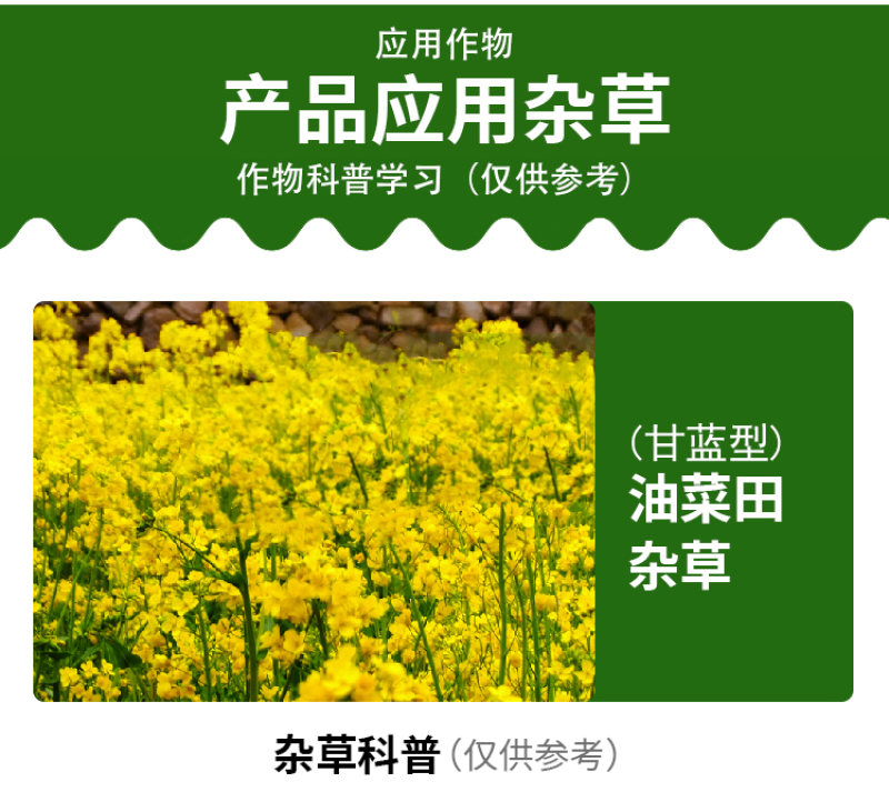 帆邦油瓜瓜烯草酮草除灵氨氯二氯吡油菜地苗后除草剂多效合一