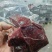 俊成全熟真空肉，1斤一包，五香麻辣两口味厂家直发