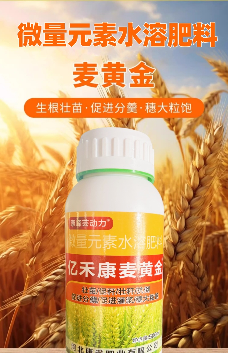 亿禾康麦黄金小麦高产微量元素水溶肥促生根壮减少秕子正品