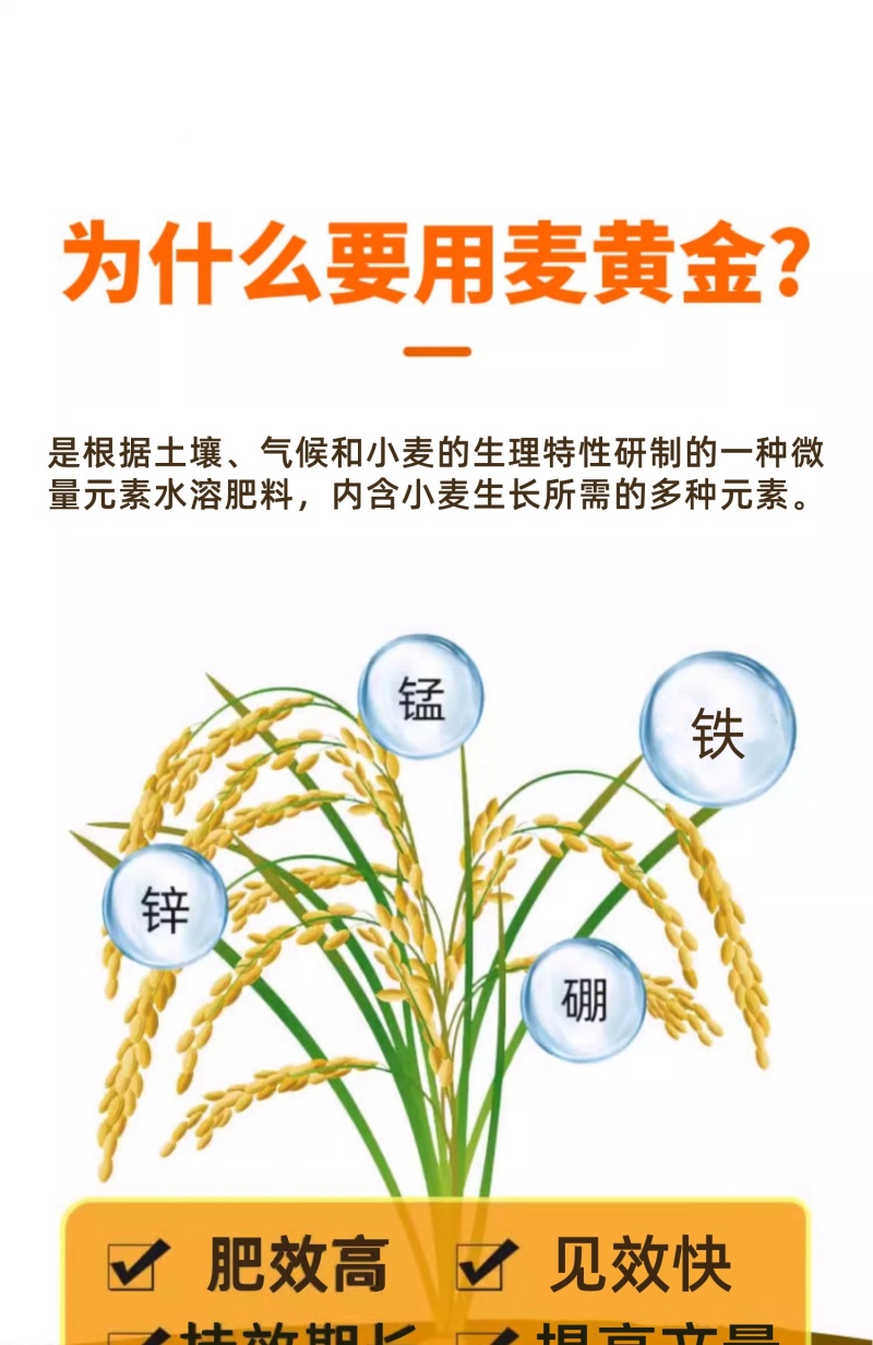 亿禾康麦黄金小麦高产微量元素水溶肥促生根壮减少秕子正品
