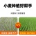 亿禾康麦黄金小麦高产微量元素水溶肥促生根壮减少秕子正品