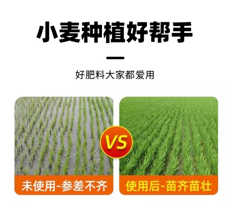 亿禾康麦黄金小麦高产微量元素水溶肥促生根壮减少秕子正品