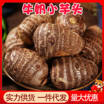 牛奶小芋头/源头供应/全平台一件代发欢迎您的到来