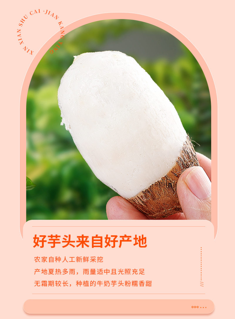 牛奶小芋头/源头供应/全平台一件代发欢迎您的到来