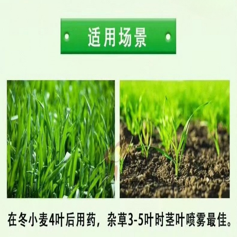 帆邦10%唑啉草酯冬小麦田禾本科杂草除草剂正品瓶装批发可