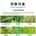 帆邦10%唑啉草酯冬小麦田禾本科杂草除草剂正品瓶装批发可