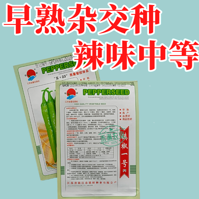 镇辣一号杭椒种子早熟高产蔬菜种子辣椒种淡绿色辣味中等辣椒