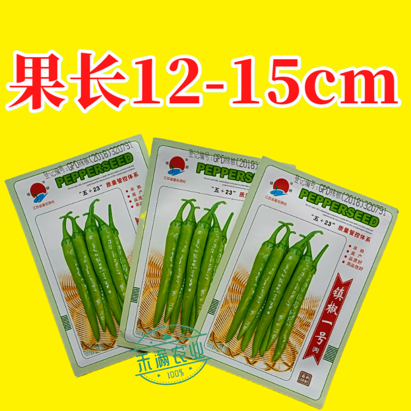 镇辣一号杭椒种子早熟高产蔬菜种子辣椒种淡绿色辣味中等辣椒