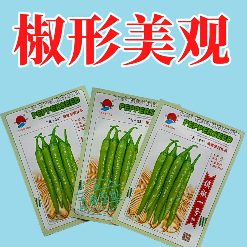 镇辣一号杭椒种子早熟高产蔬菜种子辣椒种淡绿色辣味中等辣椒