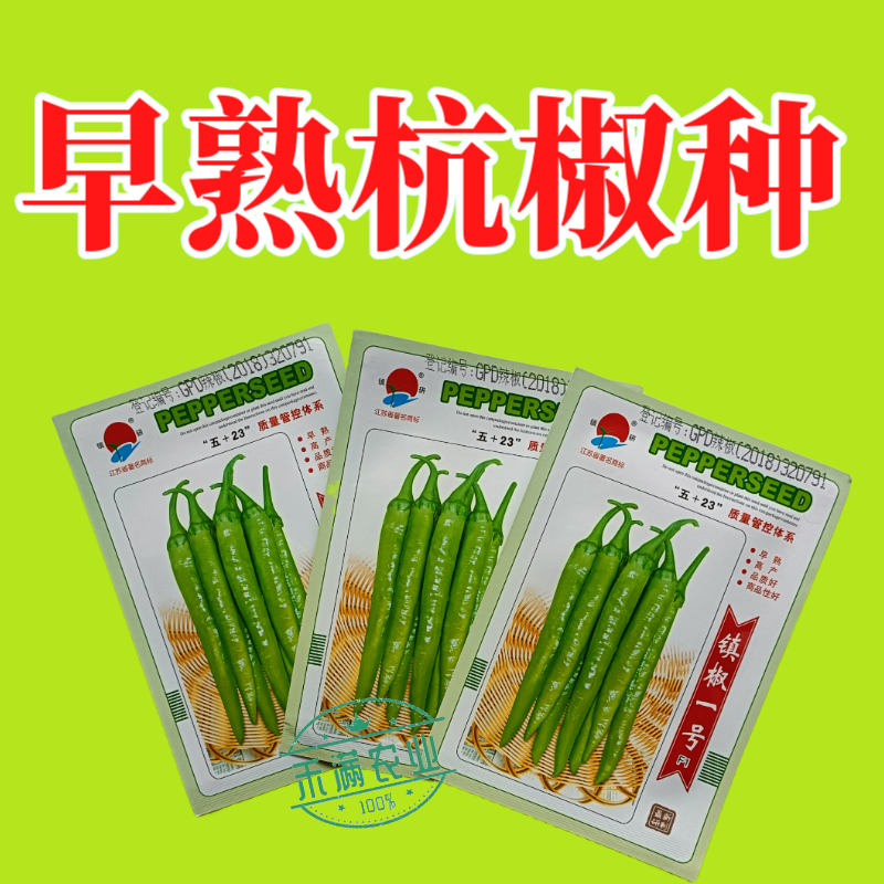 镇辣一号杭椒种子早熟高产蔬菜种子辣椒种淡绿色辣味中等辣椒
