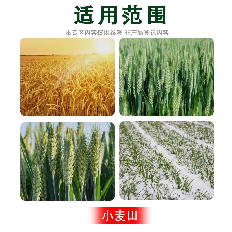 帆邦麦真妙唑啉草酯10%农用麦田除草强力除草剂禾本科杂草