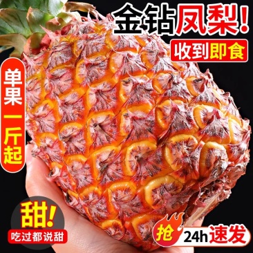 海南金钻凤梨大量供应一件代发全国欢迎订购