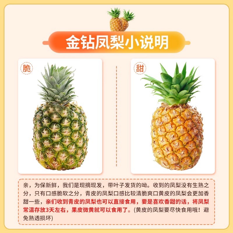 海南金钻凤梨大量供应一件代发全国欢迎订购